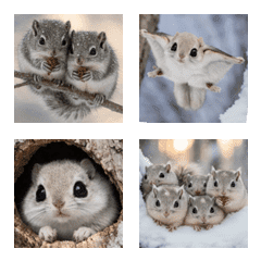 Have fun talking with Momonga every day!