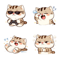 Chubby Cat Daily Chaos