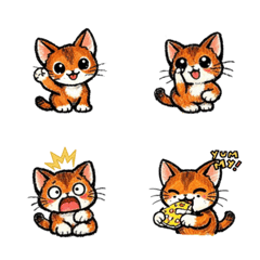 阿比西尼亞貓 俏皮表情