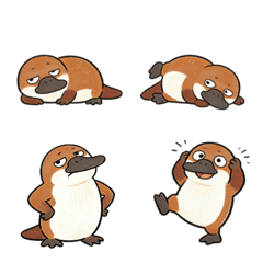 呆萌鴨嘴獸耍寶搞怪版(40組)