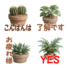 Cactus, Houseplant, greetings