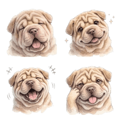 Warm and gentle Shar Pei emojis
