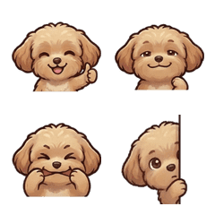 My Maltipoo at Home:Daily Edition