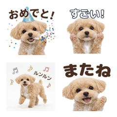 マルプー絵文字