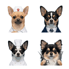 吉娃娃職業合輯表情貼