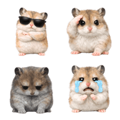 [Healing] Funny Hamster