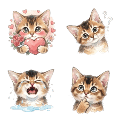 蓬鬆索馬利貓魯迪的日常表情貼