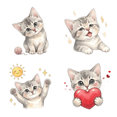 軟萌療癒系索馬利貓 藍色