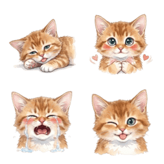 蓬鬆索馬利紅貓：隨時可用的喜怒哀樂表情貼