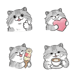 永遠好用的波斯貓表情