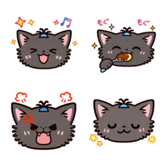 A cat with its bangs tied up