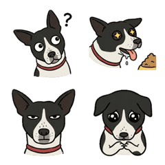 我的寶貝狗狗幾米