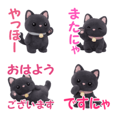 Polite language is used Black cat flocky