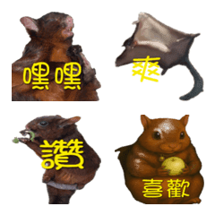 日常用語+口頭禪