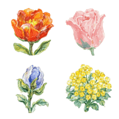 still blooming, quietly.