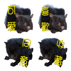 Everyday phrases and catchphrases2