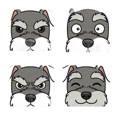 紳士雪納瑞：優雅與搞怪之間