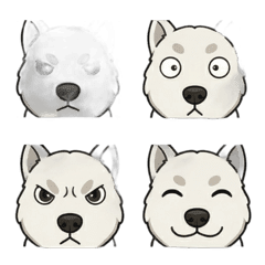 純白柴犬：極簡系臉部動態