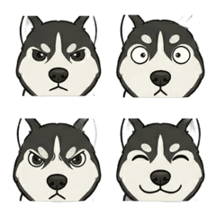 哈士奇狂想曲：搞笑顏藝秀