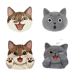 Life of Yoda & Bailee