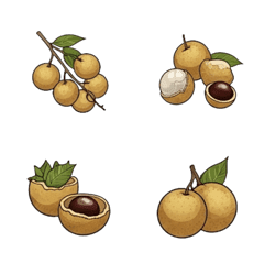 Simple Longan Icons