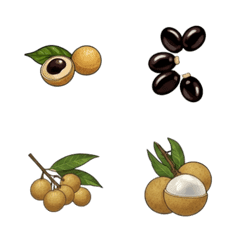 Freshly Picked Longan Icons