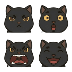 神秘黑貓：百變日常表情包