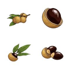 Longan Journey Icons