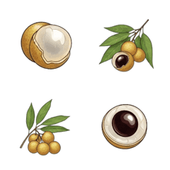 Purely Longan Icons