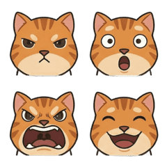 橘貓日常：全方位情緒表情貼