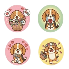 Beagle intense emotion set