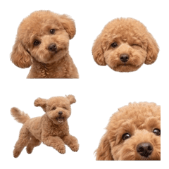 Cute Animal Emoji 05