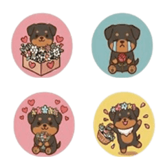 Rottweiler Intense Emotion