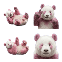 粉紅熊貓真人表演