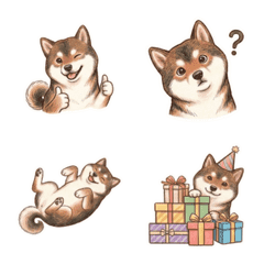 日常實用的胡麻柴犬