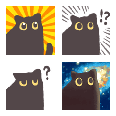 AYS 安靜的黑貓