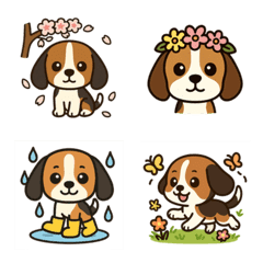 Beagle Seasons and Events