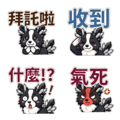 黑白水晶QQ邊境牧羊犬：中文文字表情貼