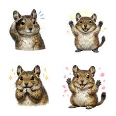 可愛！天竺鼠表情符號