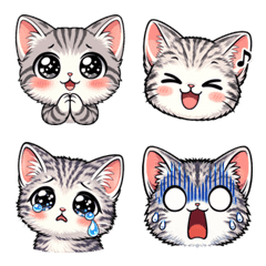 Ak Nan the Silver Tabby Kitten