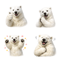 可愛！北極熊表情符號