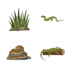 Nature's Reptile Pack