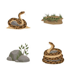 Reptile Life Icons