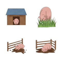 Happy Swine Farm