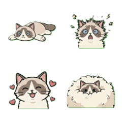 Funny & Fluffy Ragdoll Cat Emoji