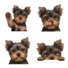 Schnauzer Miniature Emoji Collection