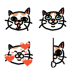 The Daily Life of Conomi, a Rescue Cat