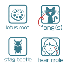English words for everyday life2