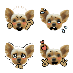 ぴのさん絵文字7