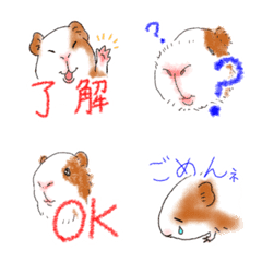 Easy to use! Fun and cute guinea pig